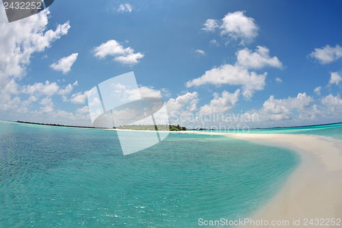 Image of tropical beach landscape