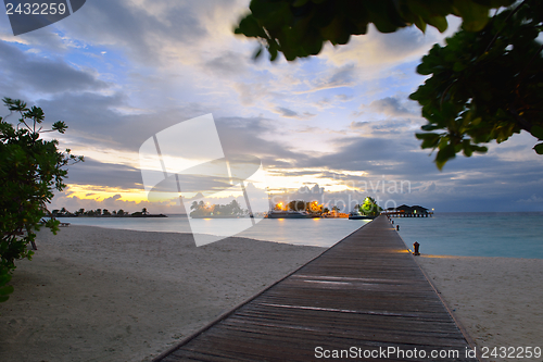 Image of tropical beach landscape