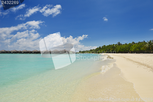 Image of tropical beach landscape