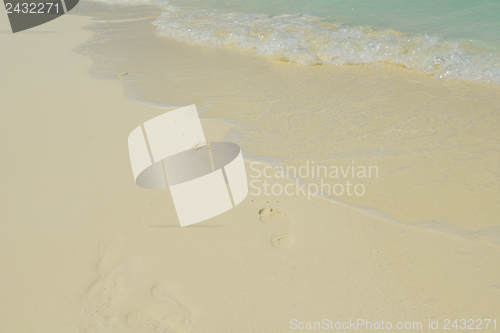 Image of tropical beach landscape