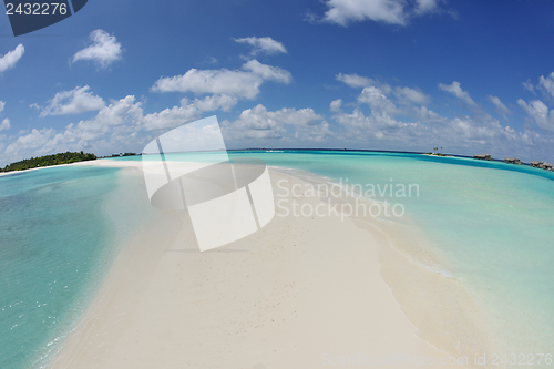 Image of tropical beach landscape