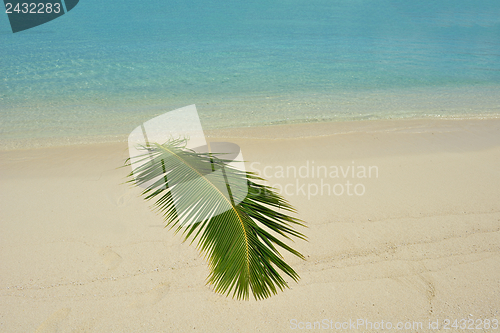 Image of tropical beach landscape