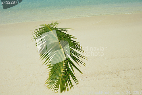 Image of tropical beach landscape