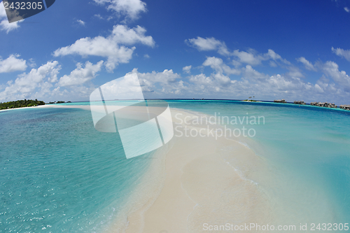 Image of tropical beach landscape