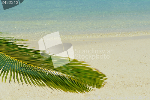 Image of tropical beach landscape