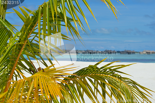 Image of tropical beach landscape