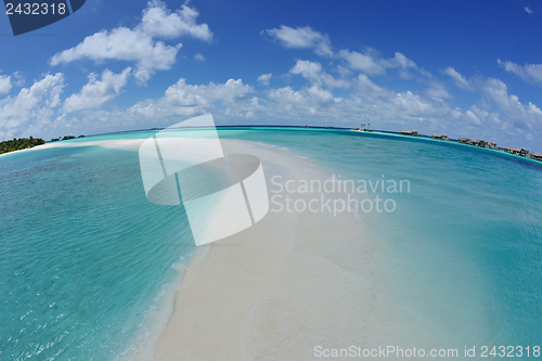 Image of tropical beach landscape