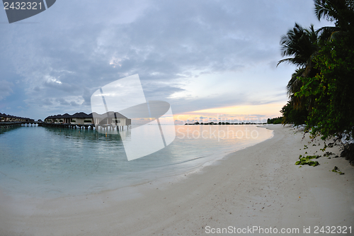 Image of tropical beach landscape