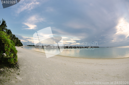 Image of tropical beach landscape