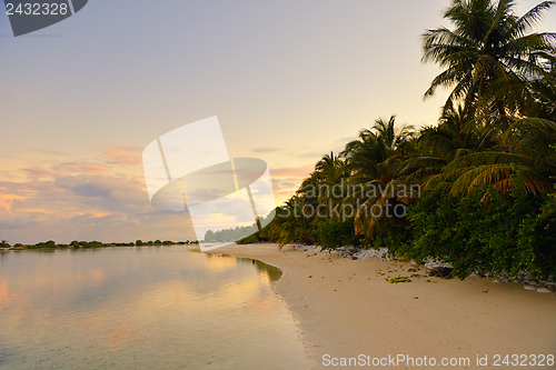 Image of tropical beach landscape