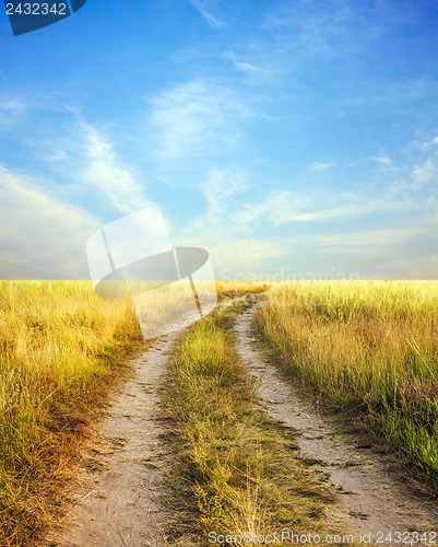 Image of Photo of the road into a field