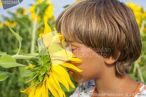 Image of boy sniffing sunflower