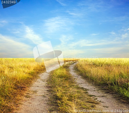 Image of Photo of the road into a field