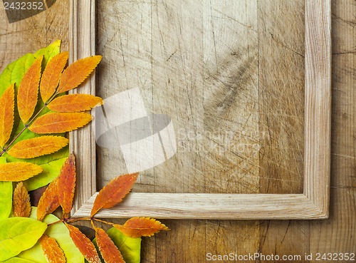 Image of autumn leaves