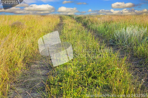 Image of Photo of the road into a field