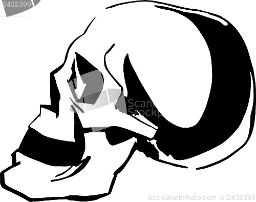Image of People Skull