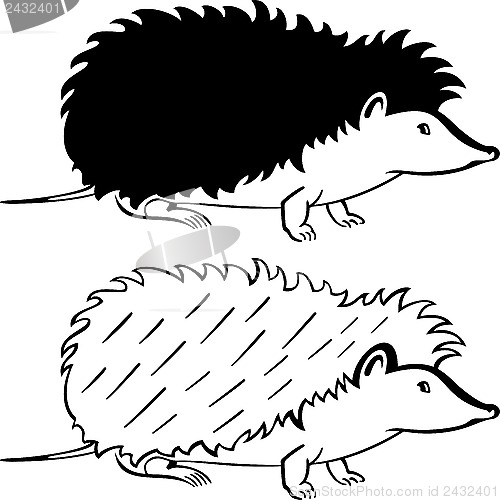 Image of Hedgehog