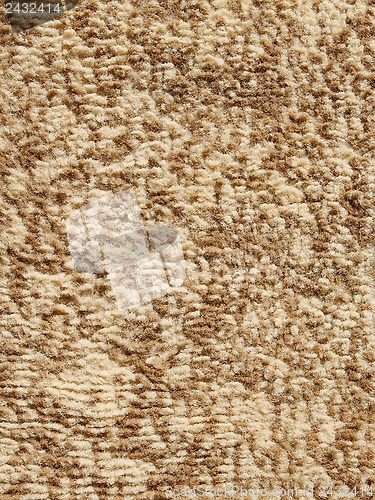 Image of Beige fluffy floor carpet