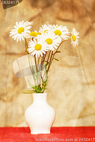 Image of daisy flower in white vase with shallow focus