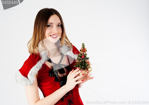 Image of Sexy Santa girl
