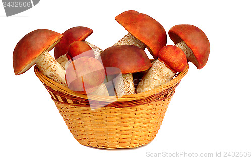 Image of Mushrooms in a wicker basket on a white background.
