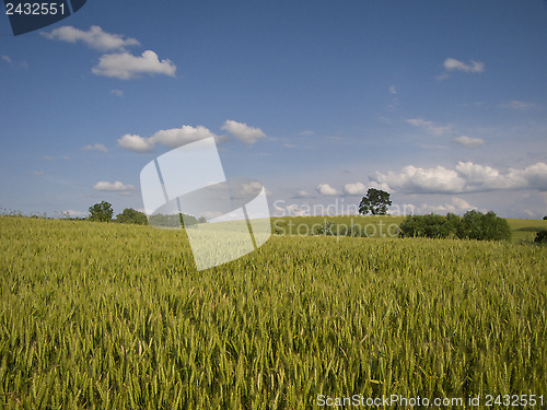 Image of Green fields