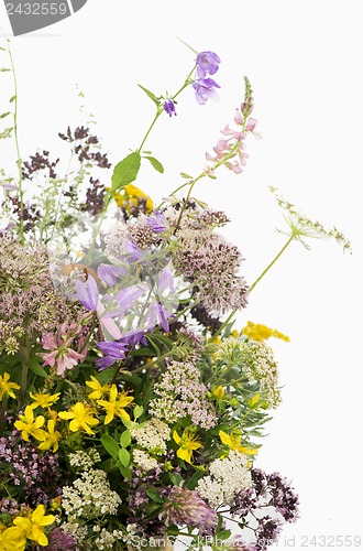 Image of Bouquet of medicinal herbs