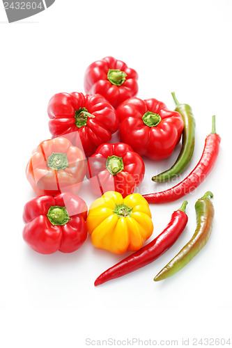 Image of colored peppers 