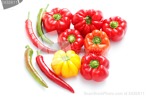 Image of colored peppers 