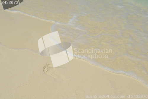 Image of tropical beach landscape