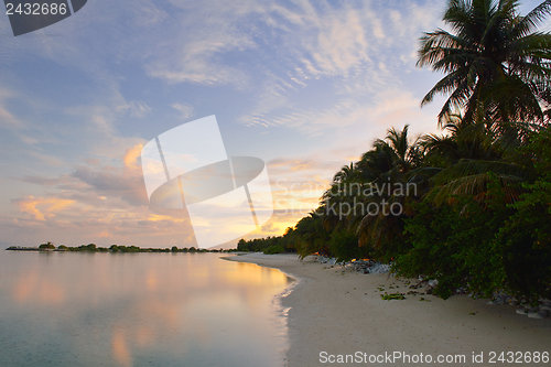 Image of tropical beach landscape