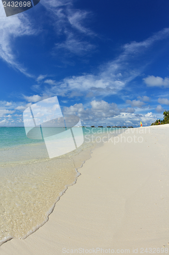 Image of tropical beach landscape