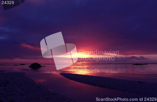 Image of Tropical Pink Sunset
