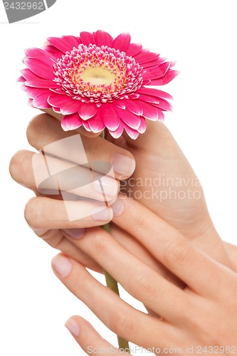 Image of manicure making in beauty spa salon 