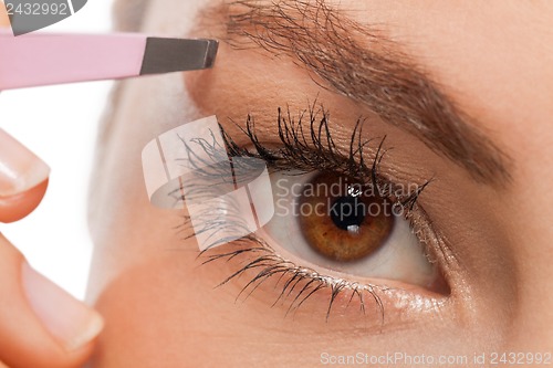 Image of youtg beautiful woman eyebrow plucking tweezers eyes hair 