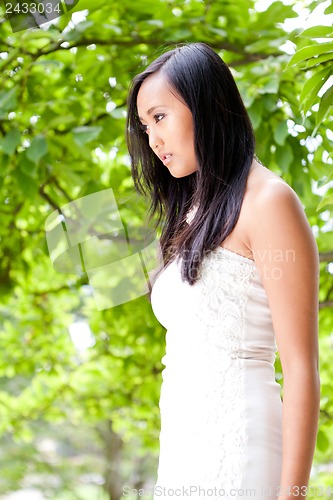 Image of attractive young asian woman beauty portrait 