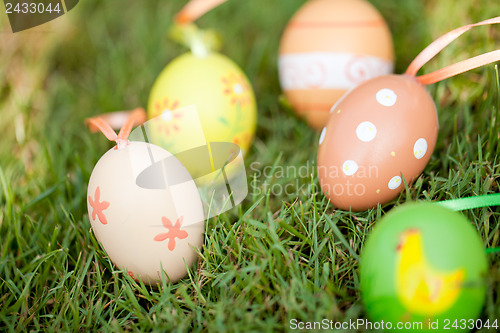 Image of colored easter eggs group in green grass outdoor in spring