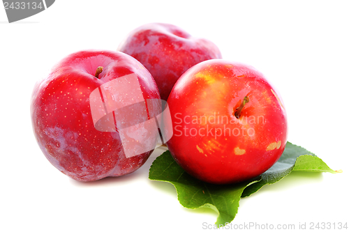Image of Three red plums.
