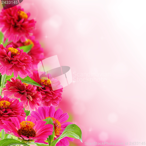 Image of Beautiful pink flowers.