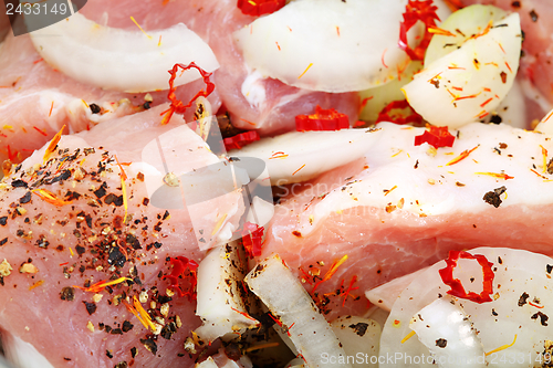 Image of Meat in the marinade.