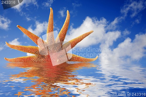Image of Conceptual Sunrise