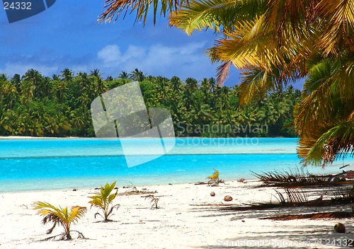 Image of Tropical Beach Scene