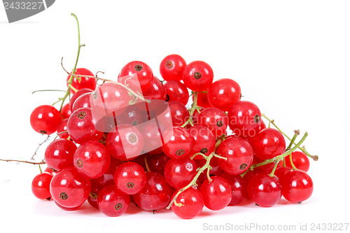 Image of pile berries of red currant on white background