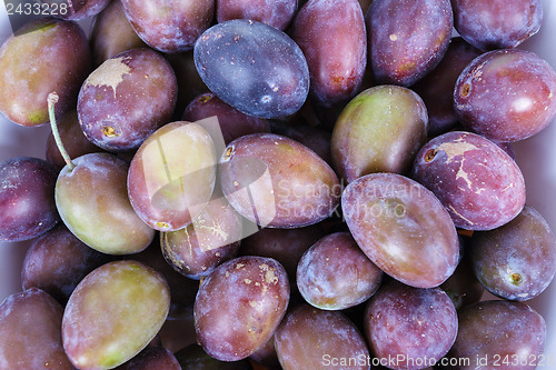 Image of Acid purple and green Plums (Blackthorns)
