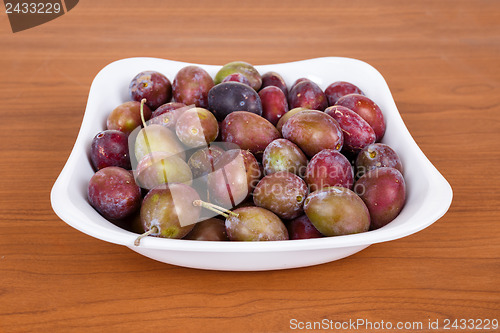 Image of Acid purple and green Plums (Blackthorns)in bowl