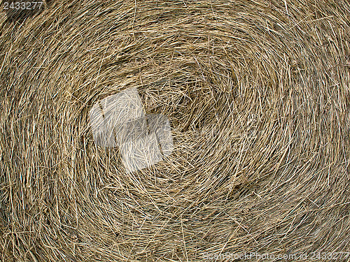 Image of Hay Bale