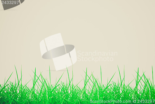 Image of Retro look Meadow
