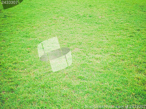 Image of Grass background