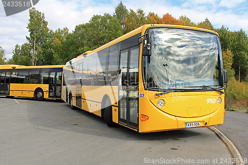 Image of Two Yellow Urban City Buses