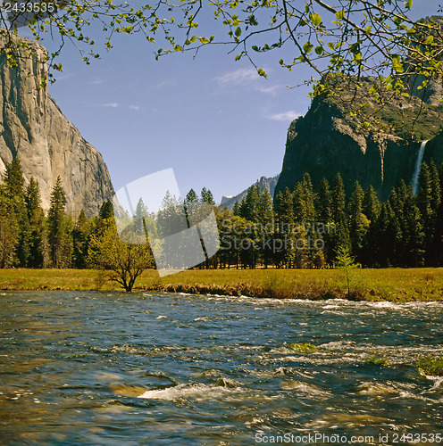 Image of Yosemite National Park